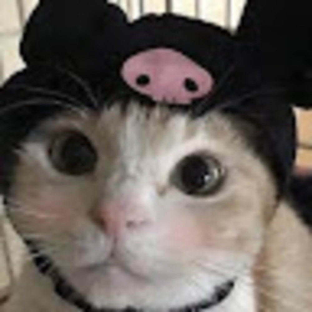Meet your Posher, アエラ
